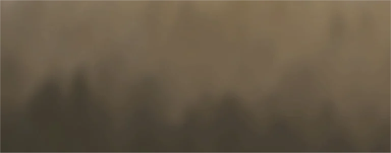 Transparency Compliance And Real Impact